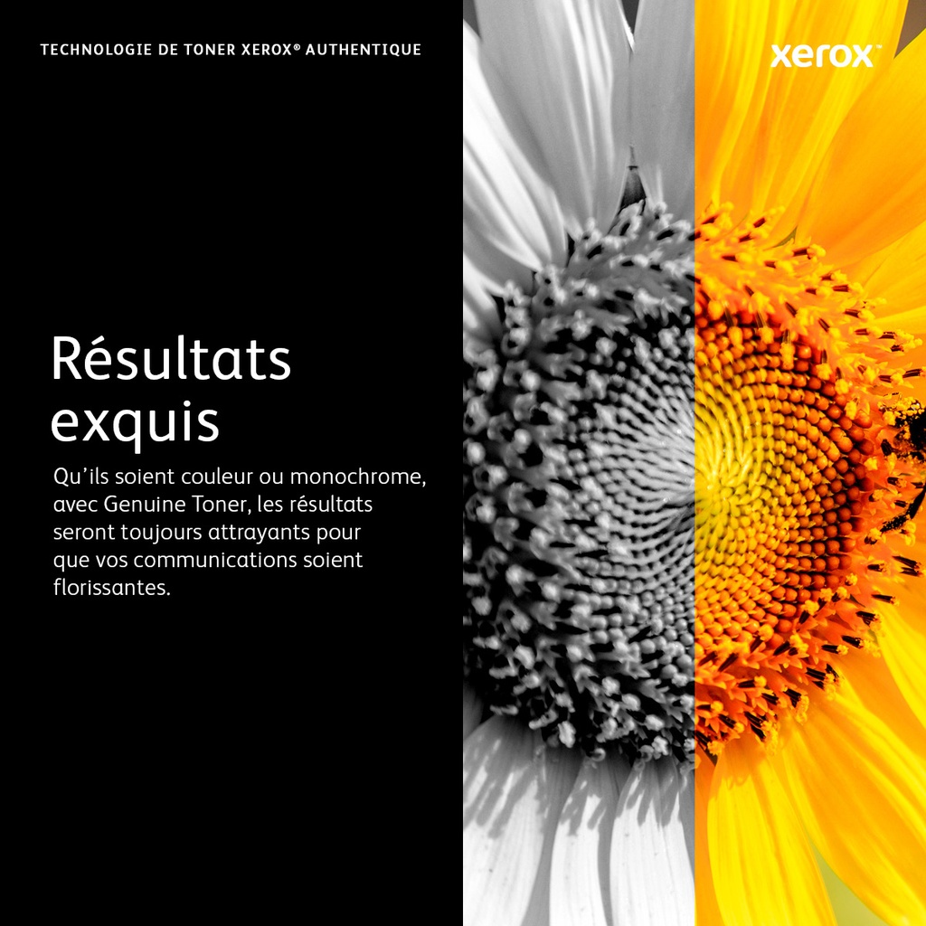 Xerox Genuine Phaser™ 6600, WorkCentre™ 6605 Cyan Toner Cartridge