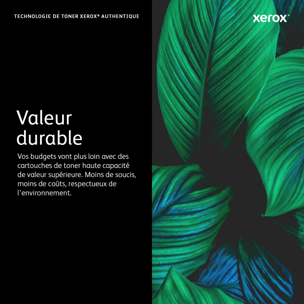Xerox Drum Cartridge
