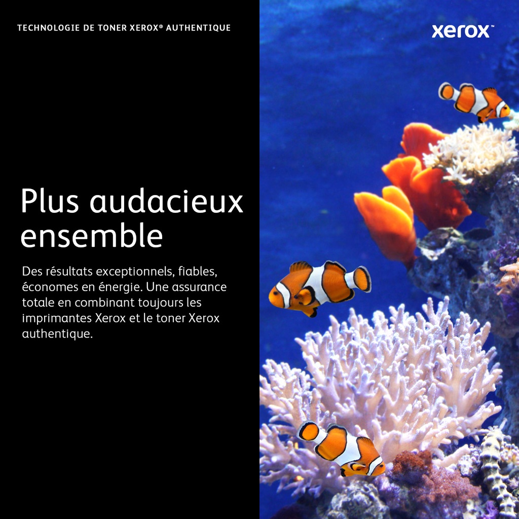 Xerox Drum Cartridge