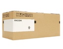 Ricoh 342557 ink cartridge 1 pc(s) Original White