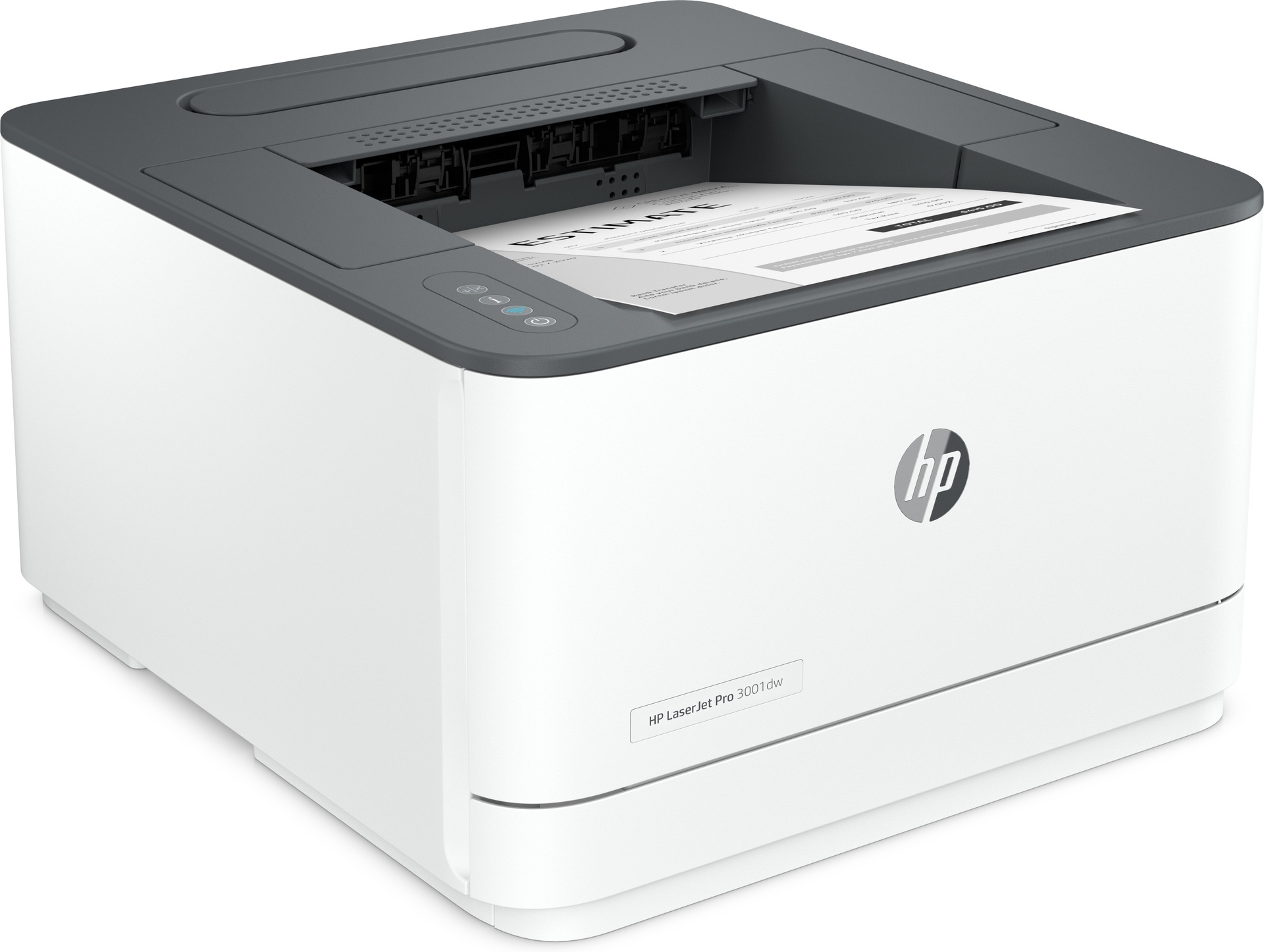 HP LaserJet Pro 3002dne 1200 x 1200 DPI A4