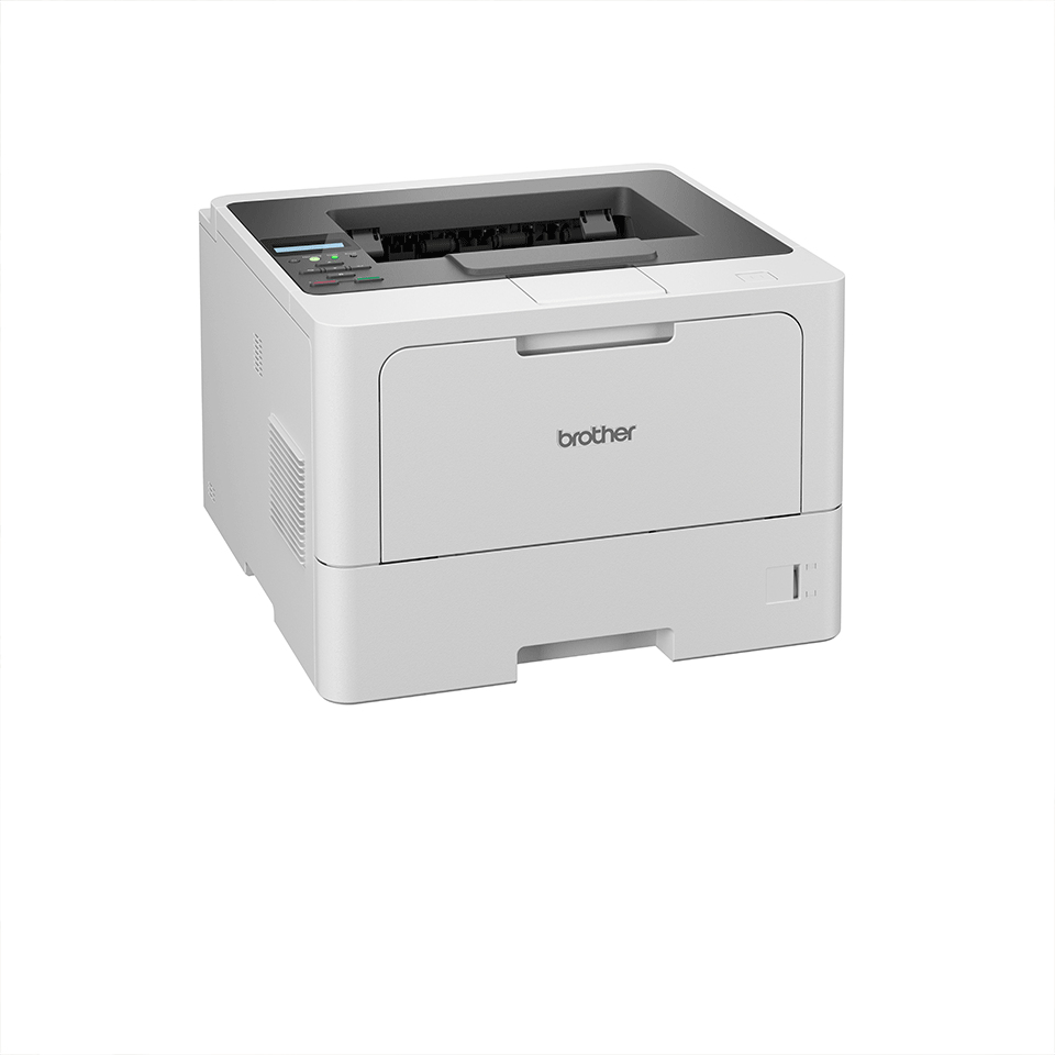 Brother HL-L5210DN Imprimante laser (HLL5210DNRE1) 