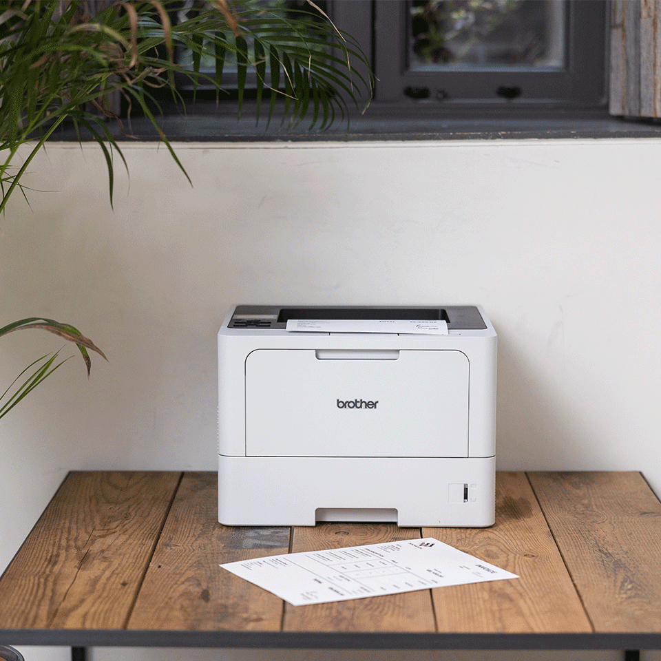 Brother HL-L5210DNTT Imprimante laser (HLL5210DNTTRE1) 