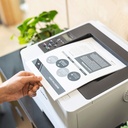 Brother HL-L5210DW Imprimante laser (HLL5210DWRE1) 