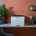 Brother HL-L5210DW Imprimante laser (HLL5210DWRE1) 