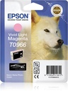Epson Husky Singlepack Vivid Light Magenta T0966