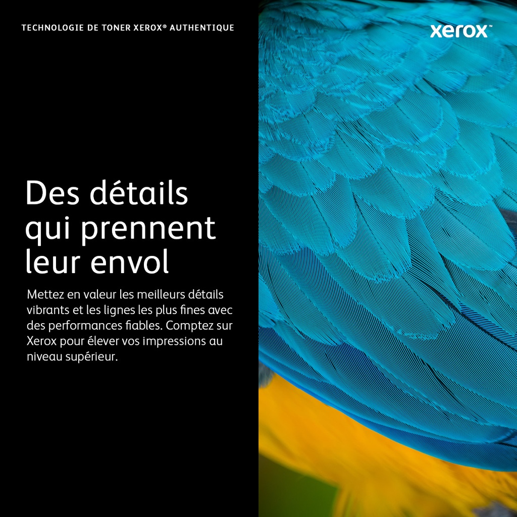 Xerox 006R01458 Toner jaune, 15.000 Pages pour Xerox WC 7120