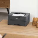 Brother HL-L2400DWE laser printer