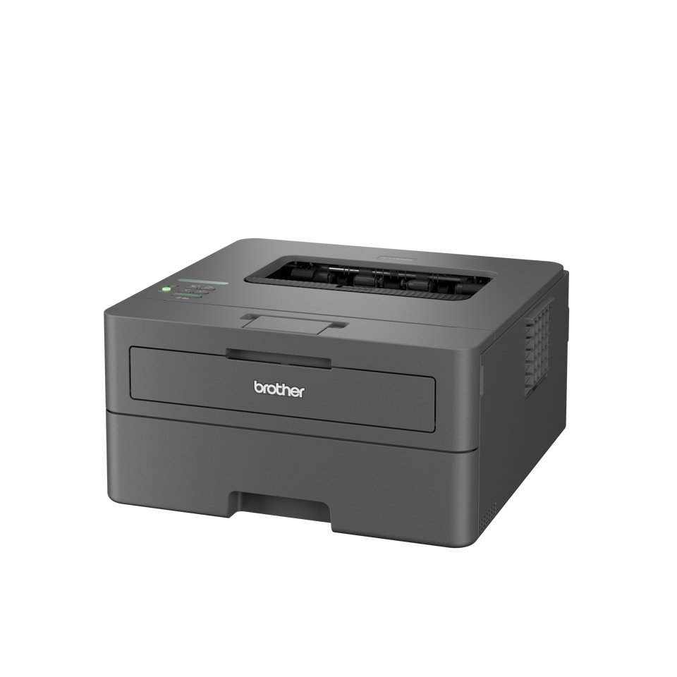 Brother HL-L2400DWE laser printer