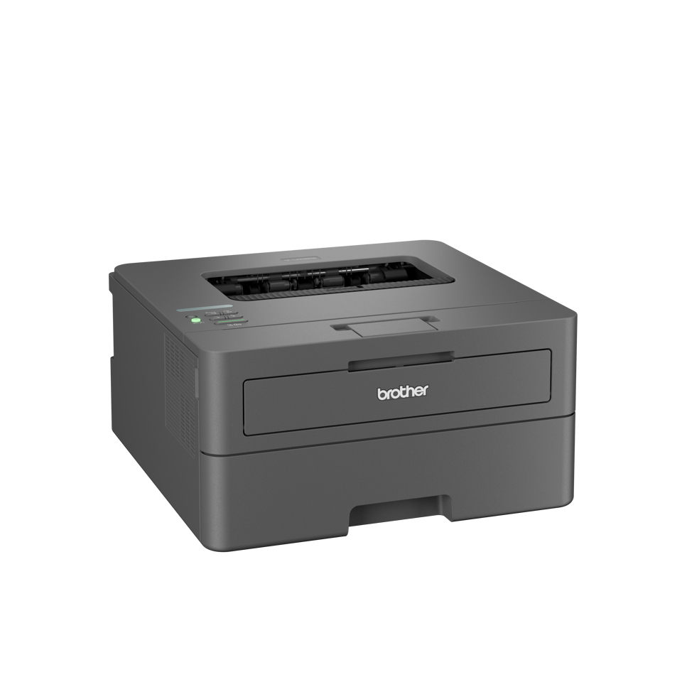 Brother HL-L2445DW laser printer