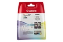 Canon 2970B010/PG-510+CL-511 Cartouche à tête d'impression multi pack noire + couleur, 2x220 Pages ISO/IEC 24711 9ml UE2 pour Canon Pixma MP 240