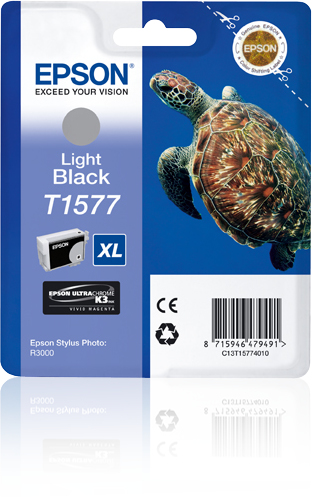 Epson C13T15774010/T1577 Cartouche d'encre gris, 23.000 Pages 25.9ml pour Epson Stylus Photo R 3000