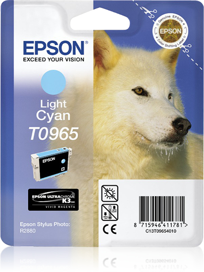 Epson C13T09654010 - Cartouche d'encre cyan, 865 pages