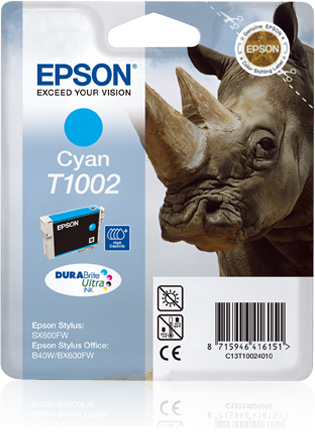 Epson C13T10024020 - Accessoire