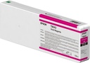 C13T804300