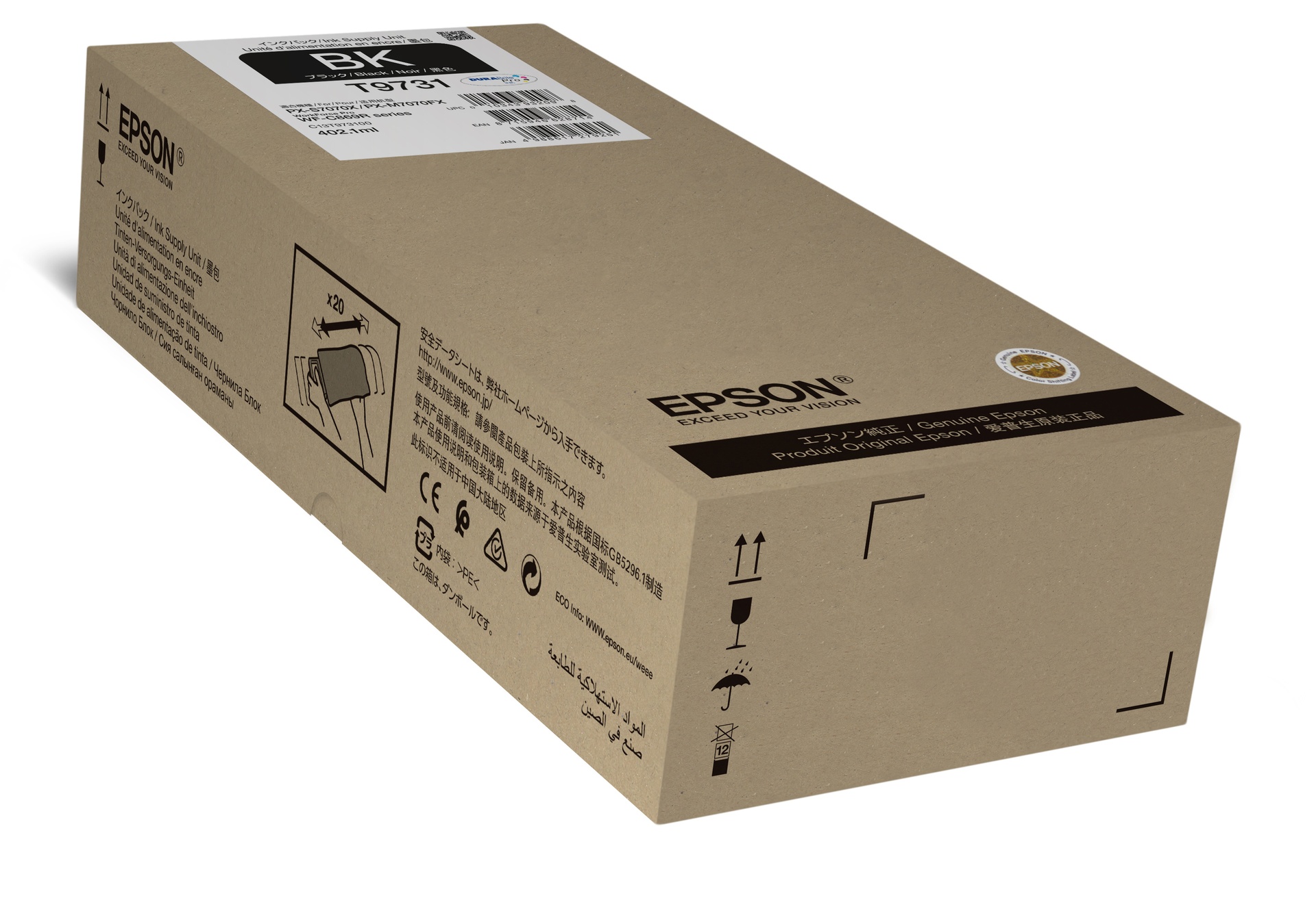 Epson C13T973100 - Cartouche d'encre noire, 22 500 pages