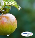 C13T12954511/T1295
