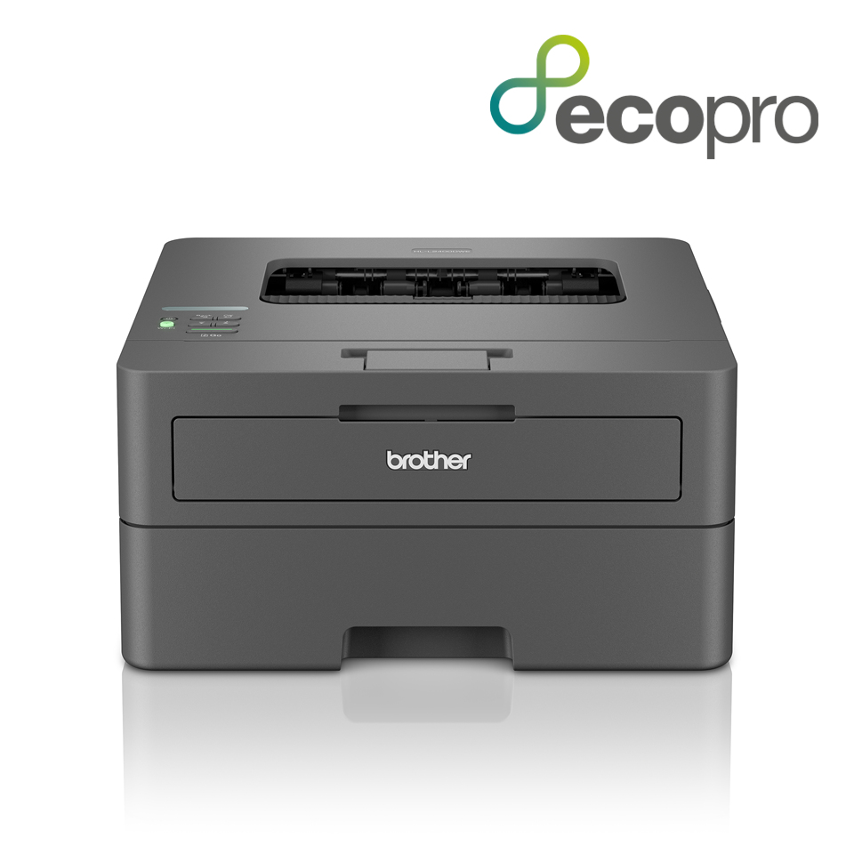 Brother HL-L2400DWE Imprimante laser (HLL2400DWERE1)